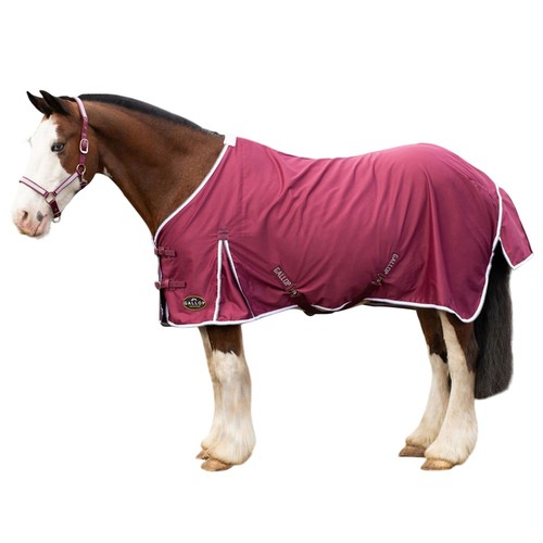 Gallop standard neck - standard-neck, horse