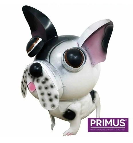 Freddie the french bulldog - the,