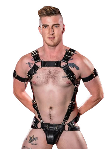 Men full body harness - full,
