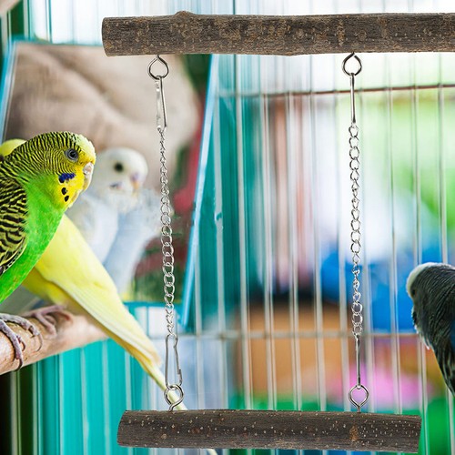 Parrot playstand interactive - parrot,