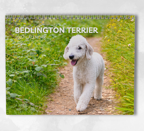 Bedlington terrier calendar - terrier,