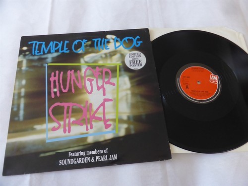 Temple the dog - temple,