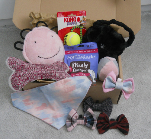 Bundle items for dogs - of, items,