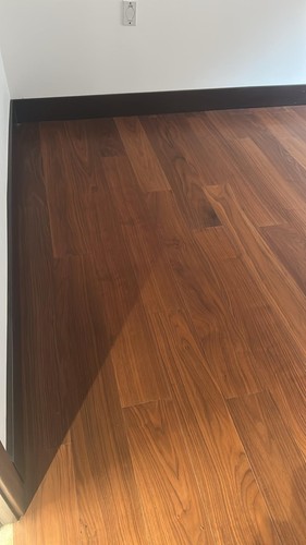 Black american walnut - american,