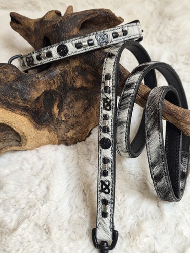 Black white pied - &,