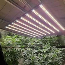 6500W LED Grow Light High