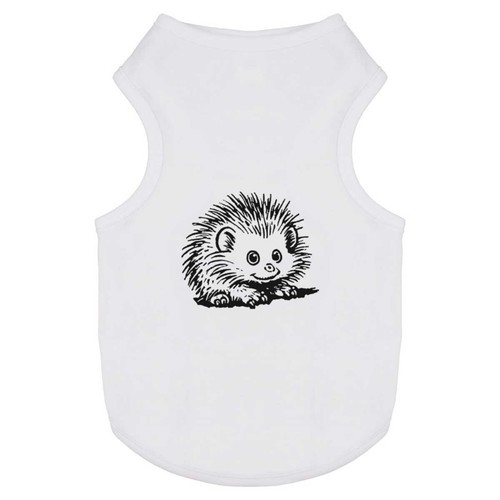 African pygmy hedgehog - pygmy, dog