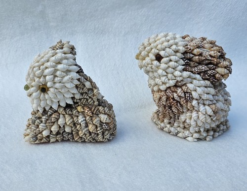 Coastal shell rabbit - shell, ornament