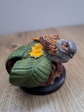 The Country Bird Collection The Dunnock by Andy Pearce