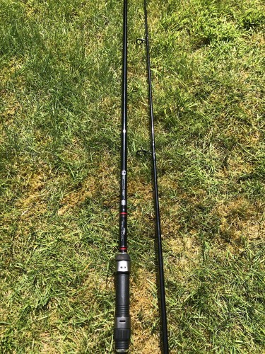 Banshee carp rod - carp,