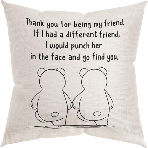 Friendship cushion cover throw - cushion,