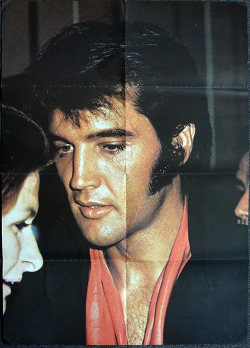 Elvis presley poster x - elvis, .