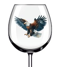 12x Colourful Hunting Eagle