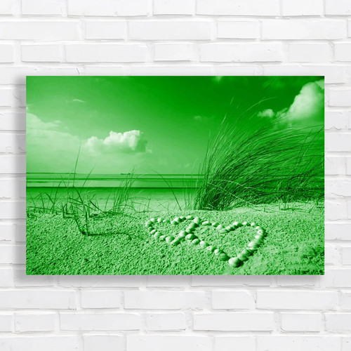 Dune beach seascape sea shells - seascape,