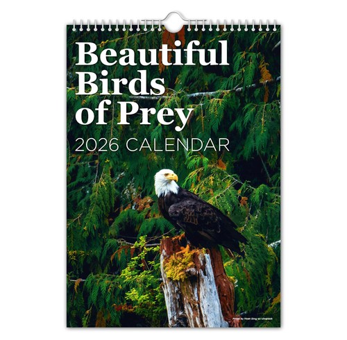 2026 wall calendar beautiful - calendar,