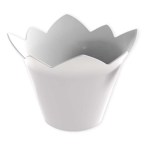 White waterlily finger food - waterlily,