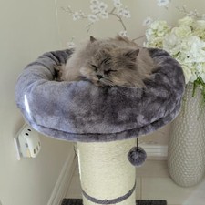 AllPetSolutions Cat Jumbo Scratching Post Large Kitten Climbing Tree Scratcher