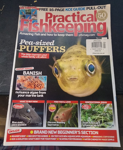 Practical fishkeeping may - practical, uk