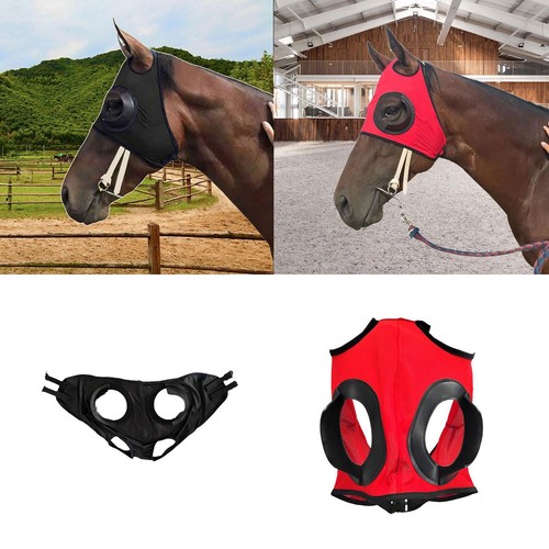 Horse riding glasses reduce - riding,