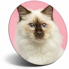 Awesome Fridge Magnet - Birman
