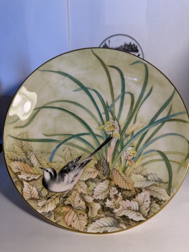Coalport oriental bird studies - coalport,