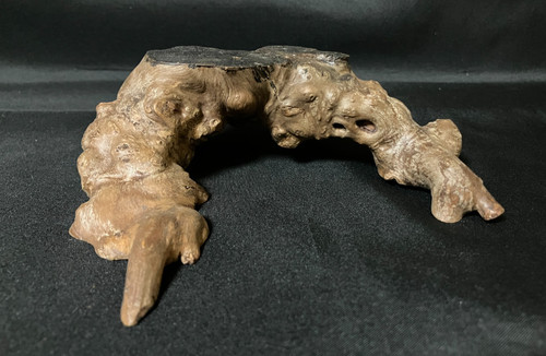 Japanese root wood display - japanese,