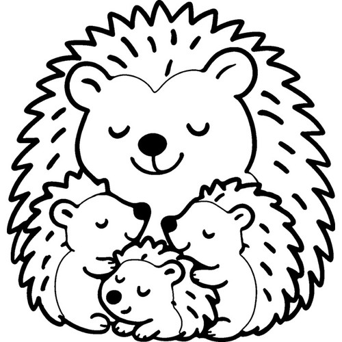 Hedgehog family unmounted - 'hedgehog, family'