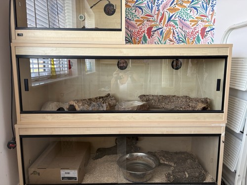 4ft reptile vivarium - reptile,