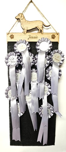 Dachshund short hair - dachshund, rosette
