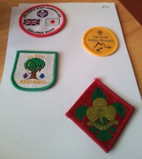 Scout badges