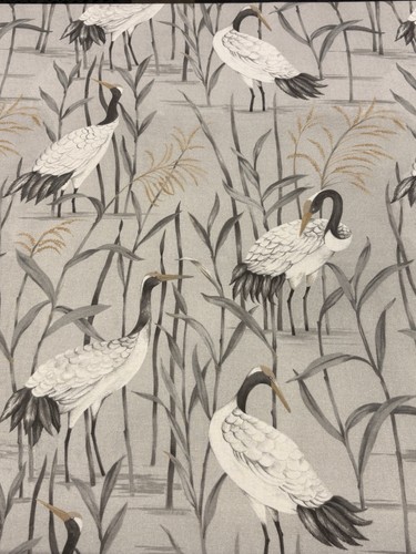 Ashley wilde kyoto - wilde,