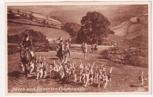 Hunting devon somerset - -,