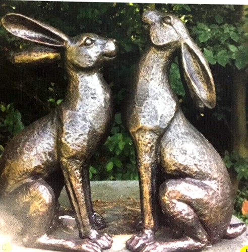 Alert hare moongazing - hare,
