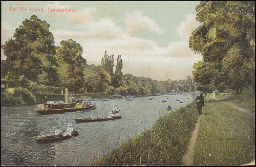 Postcard great britain eel - postcard,