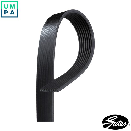Vribbed belt 8pk1668hd for - vribbed,