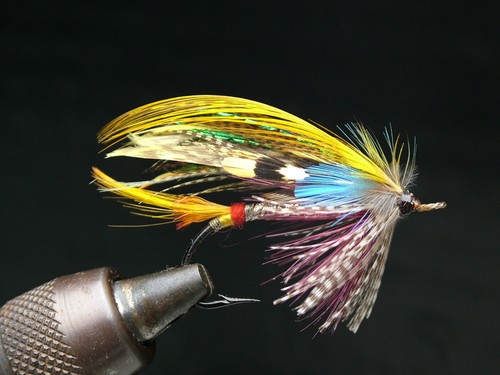 Irish pattern gut - eyed, salmon