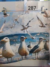 Seagulls At Beach 2d Effect