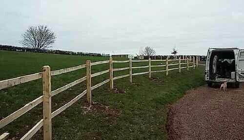 Fencing post - fencing,