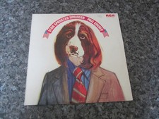 Star Spangled Springer - Phil