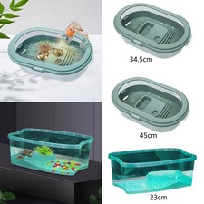 Turtles Tank Aquarium Terrapin
