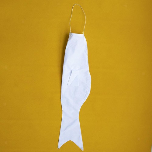 Diy painting blank - painting, carp
