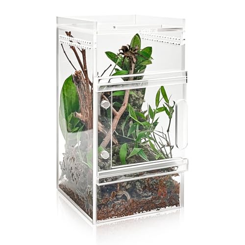 Pre assembled jumping spider - jumping,