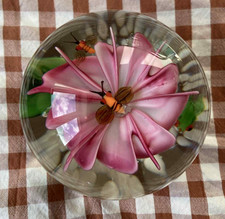 Vintage Murano Paperweight