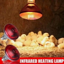 Infrared Heat Lamp Poultry