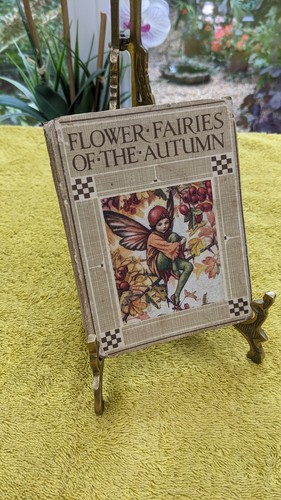 Vintage flower fairies the - fairies,
