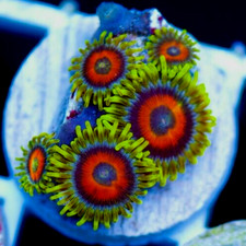 ✈️🧑🏻‍✈️CC