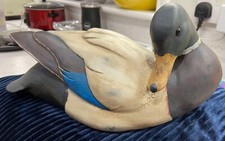 Mallard Drake Duck lifesize