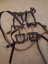Vintage 12 Point Crampons
