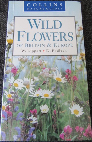 The wild flowers britain - the,