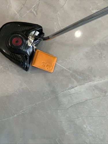Scotty cameron titleist - cameron,